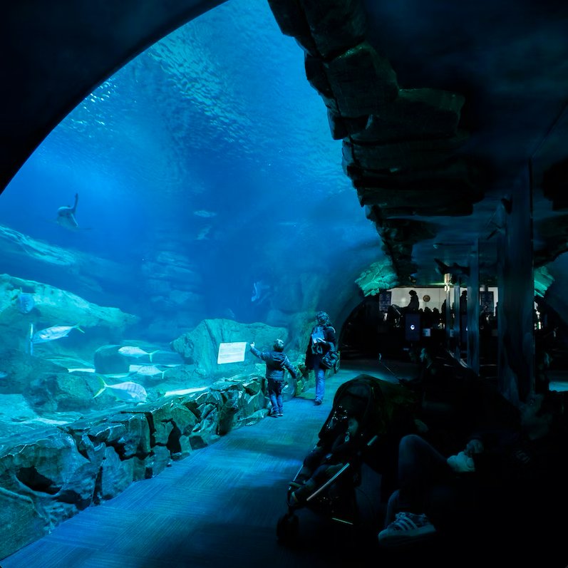 Aquarium de Paris